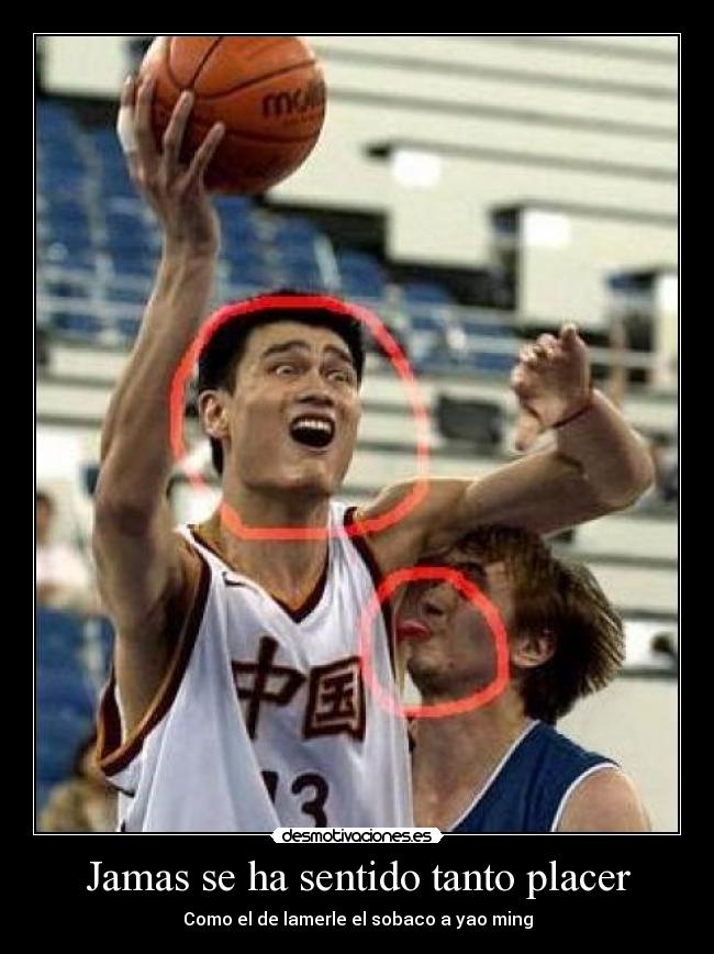 carteles lamiendo yao ming desmotivaciones