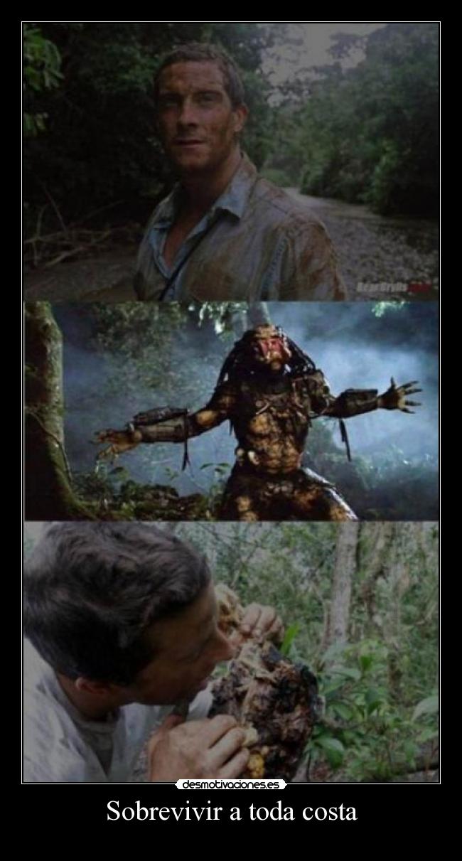 carteles miras votame positivo comenta desmotivaciones