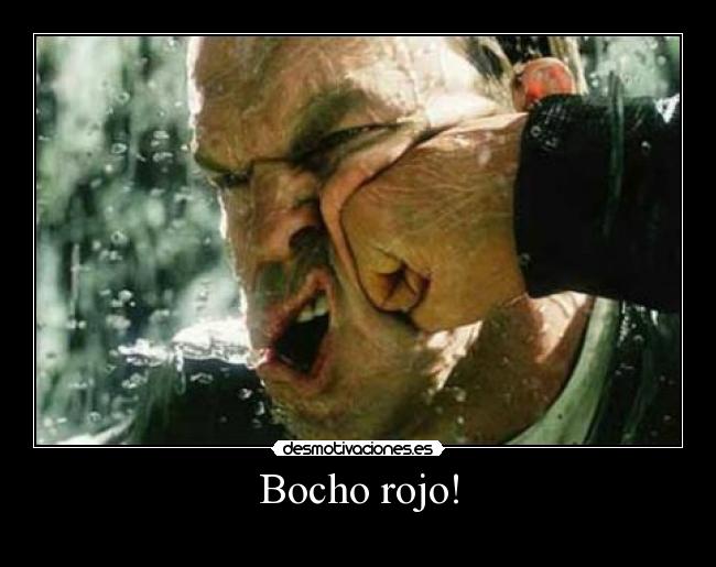 Bocho rojo! - 