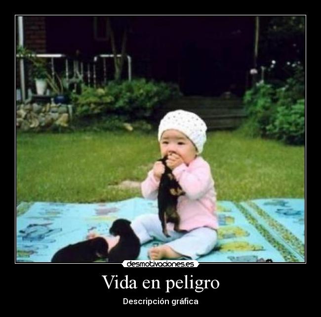 Vida en peligro - Descripción gráfica