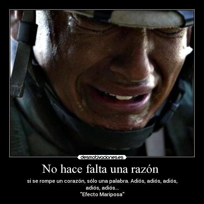 No hace falta una razón  - si se rompe un corazón, sólo una palabra. Adiós, adiós, adiós, adiós, adiós...
Efecto Mariposa