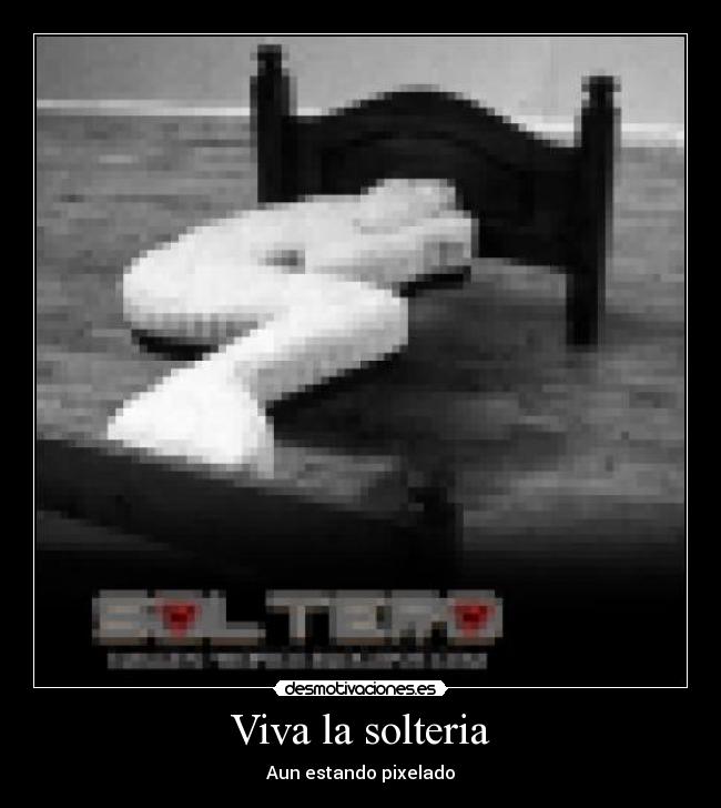 Viva la solteria - Aun estando pixelado