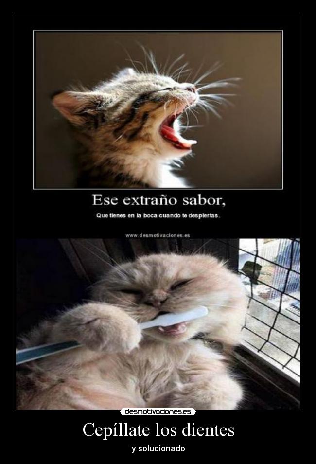 Cepíllate los dientes - y solucionado
