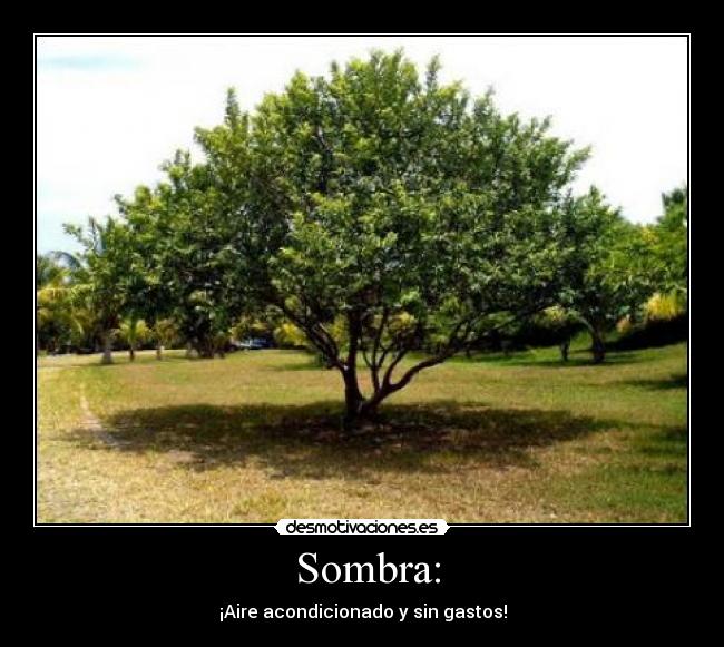 Sombra: -