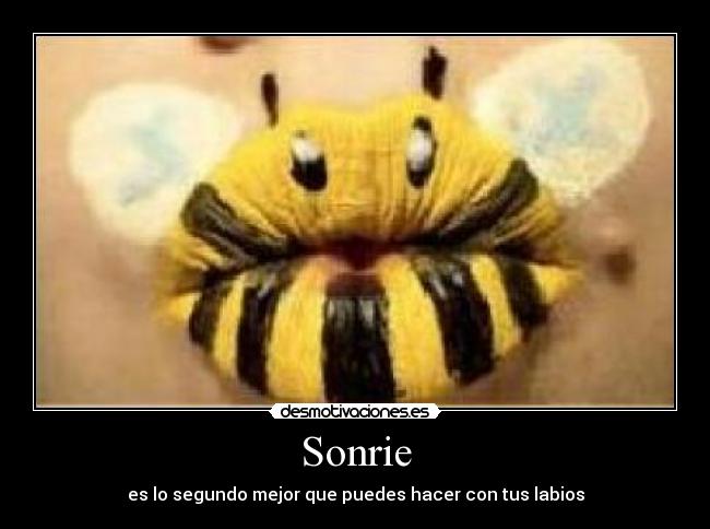 carteles sonrie segundo mejor que puedes hacer con tus labios desmotivaciones