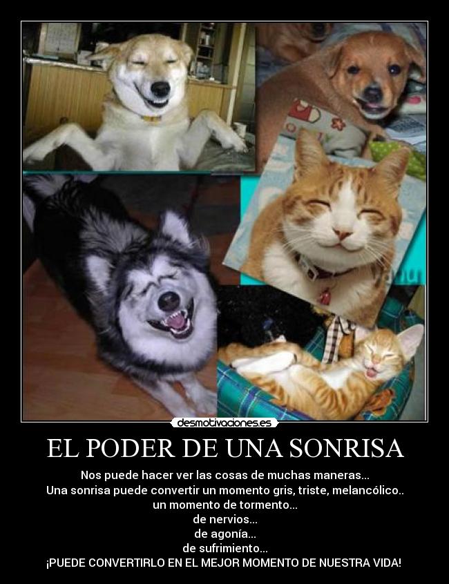 EL PODER DE UNA SONRISA -