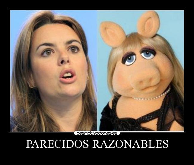 PARECIDOS RAZONABLES - 