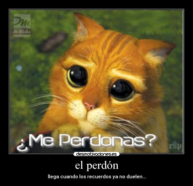 el perdón -