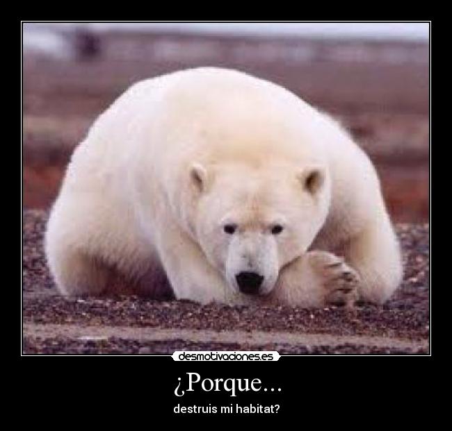 ¿Porque... - destruis mi habitat?