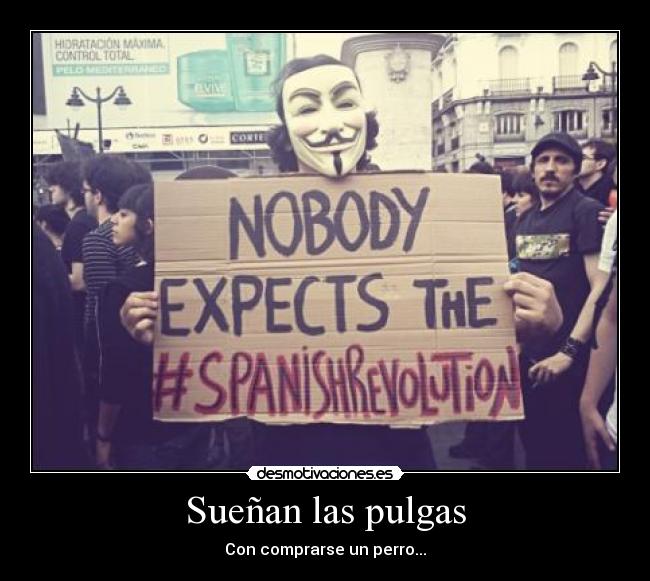 carteles pulgas suenan perro revolucion spain espana revolution 15m democracia real desmotivaciones