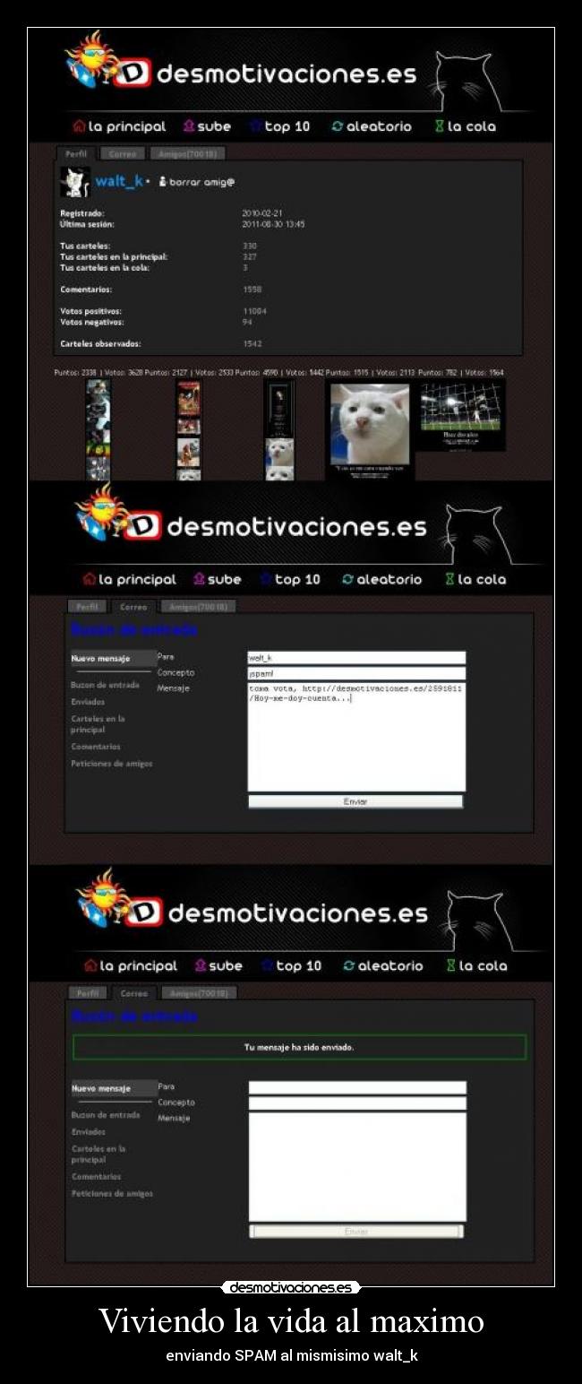 Viviendo la vida al maximo - 