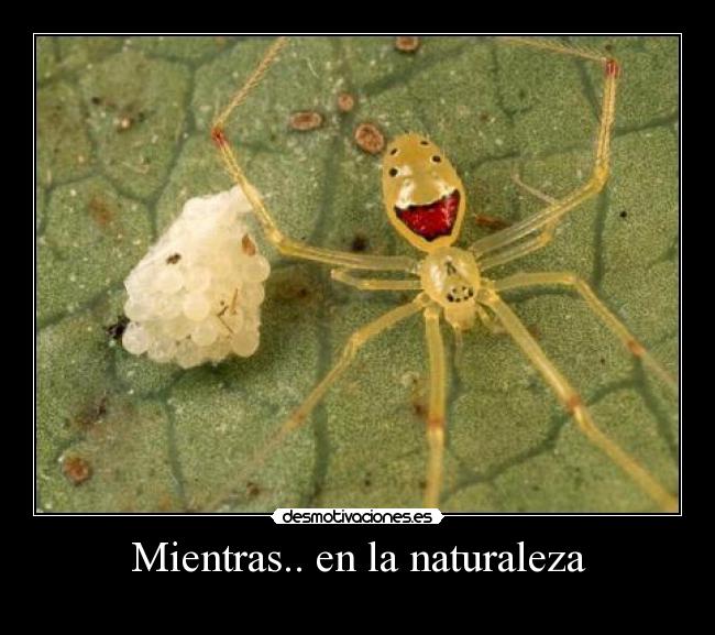 Mientras.. en la naturaleza -