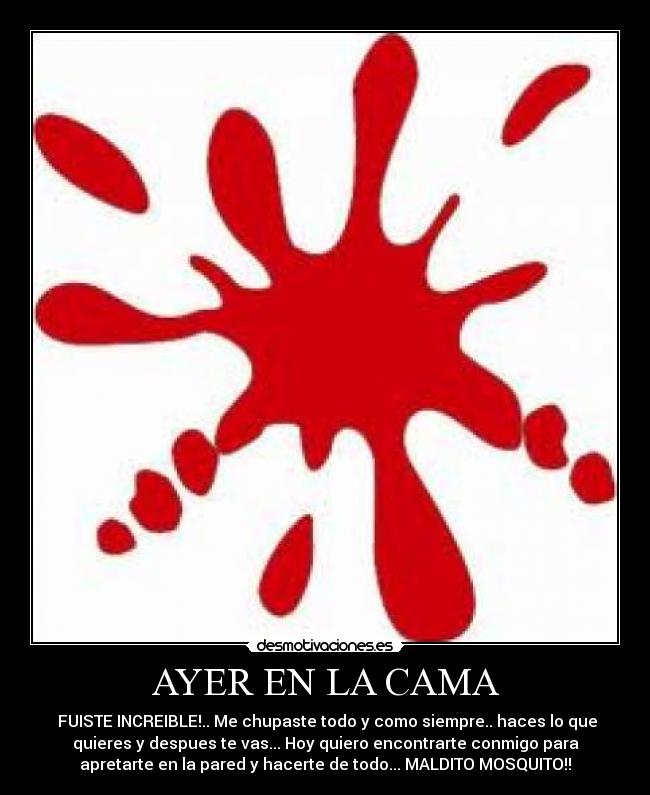 AYER EN LA CAMA - 