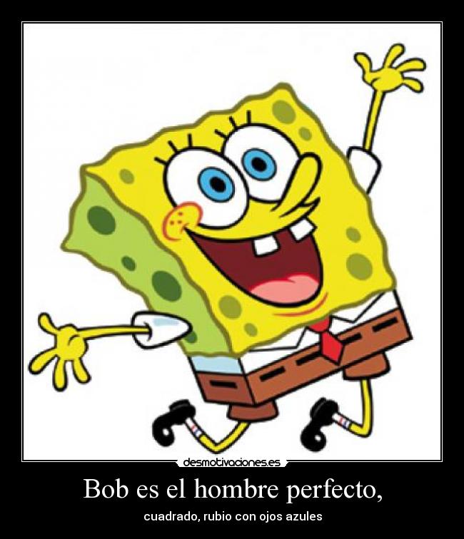 Bob es el hombre perfecto, -
