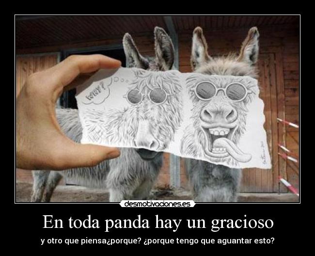 En toda panda hay un gracioso -