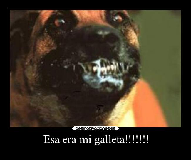 Esa era mi galleta!!!!!!! -