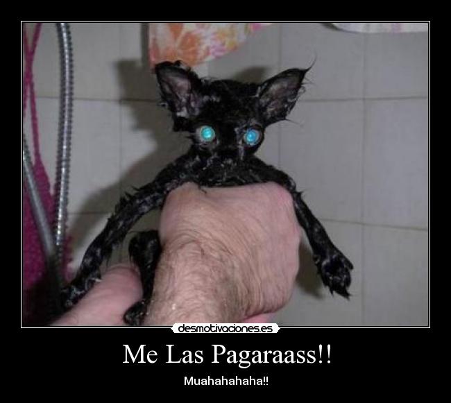 Me Las Pagaraass!! - Muahahahaha!!