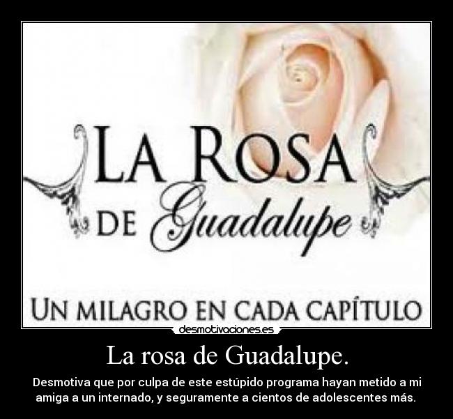 La rosa de Guadalupe. - Desmotiva que por culpa de este estúpido programa hayan metido a mi
amiga a un internado, y seguramente a cientos de adolescentes más. 