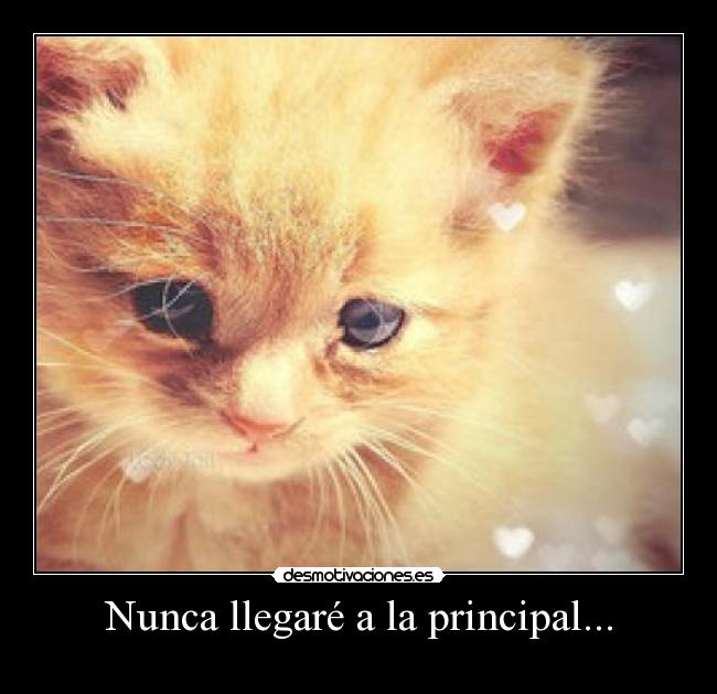 Nunca llegaré a la principal... -