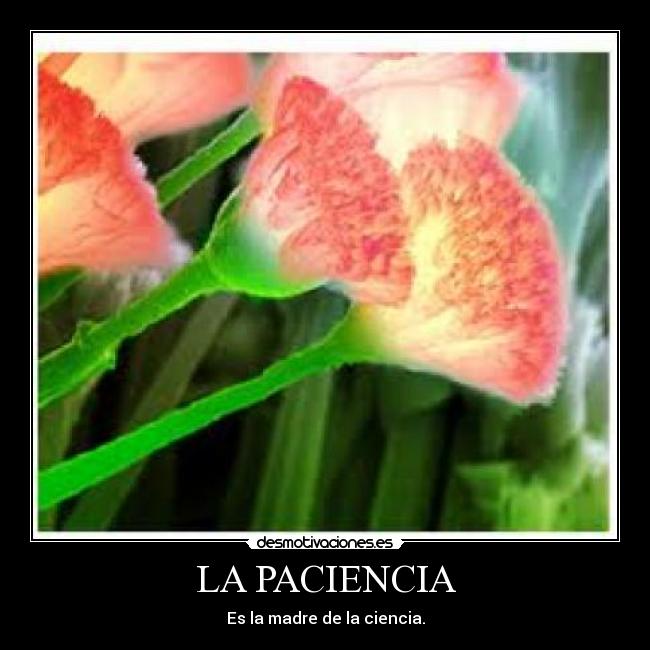 LA PACIENCIA - 