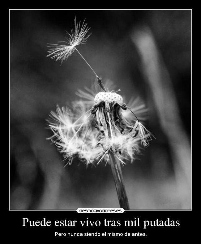 Puede estar vivo tras mil putadas - 