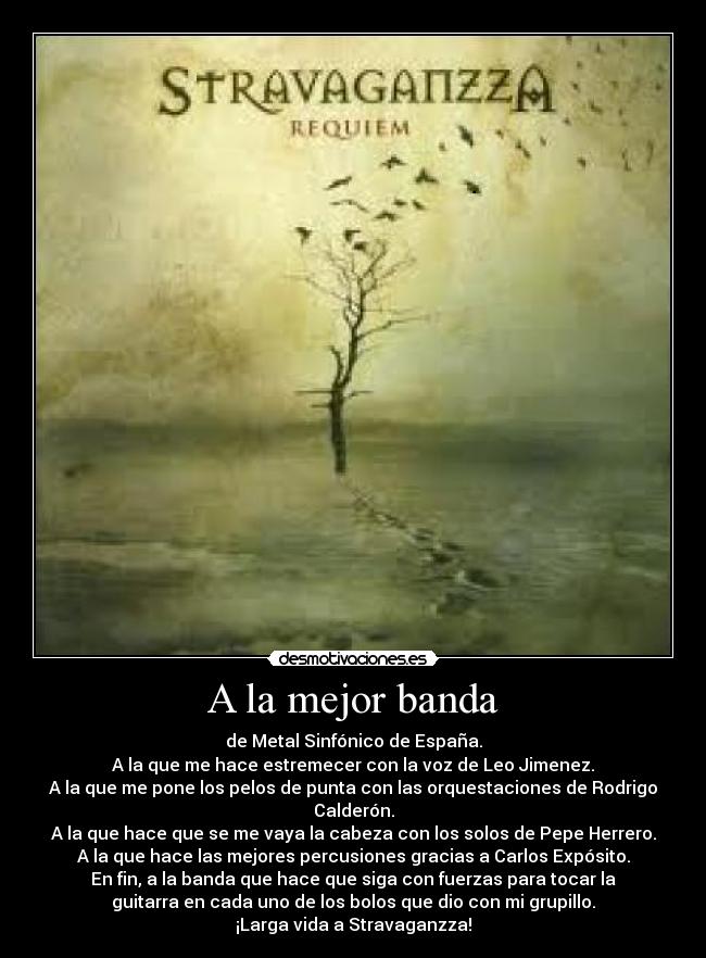 A la mejor banda - de Metal Sinfónico de España.
A la que me hace estremecer con la voz de Leo Jimenez.
A la que me pone los pelos de punta con las orquestaciones de Rodrigo
Calderón.
A la que hace que se me vaya la cabeza con los solos de Pepe Herrero.
A la que hace las mejores percusiones gracias a Carlos Expósito.
En fin, a la banda que hace que siga con fuerzas para tocar la
guitarra en cada uno de los bolos que dio con mi grupillo.
¡Larga vida a Stravaganzza!
