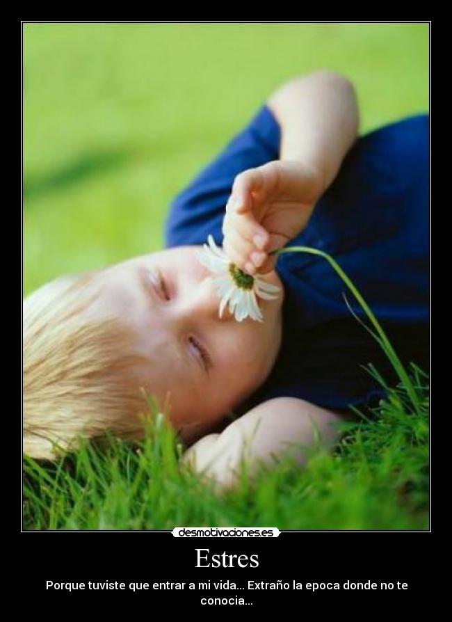 carteles wwwdesmotivacioneses desmotivaciones