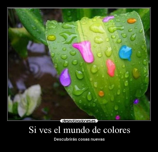 Si ves el mundo de colores - Descubrirás cosas nuevas