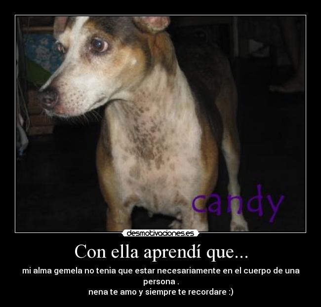 Con ella aprendí que... - mi alma gemela no tenia que estar necesariamente en el cuerpo de una persona .
nena te amo y siempre te recordare :)