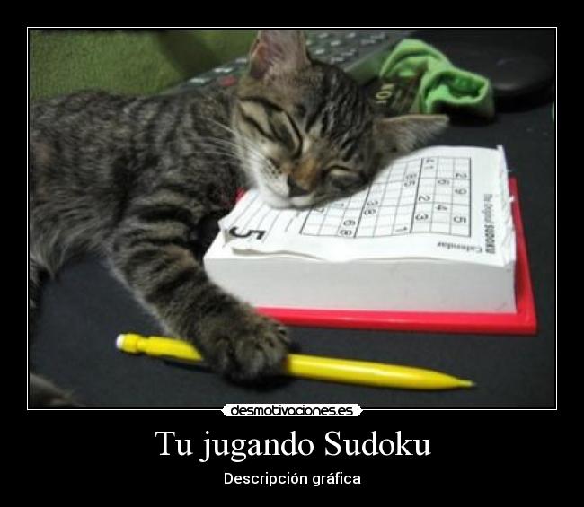 Tu jugando Sudoku - Descripción gráfica