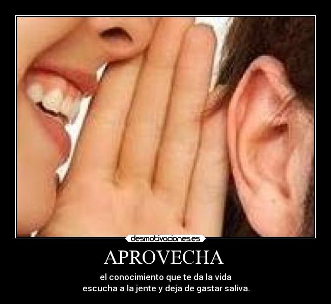APROVECHA  - el conocimiento que te da la vida
escucha a la jente y deja de gastar saliva.