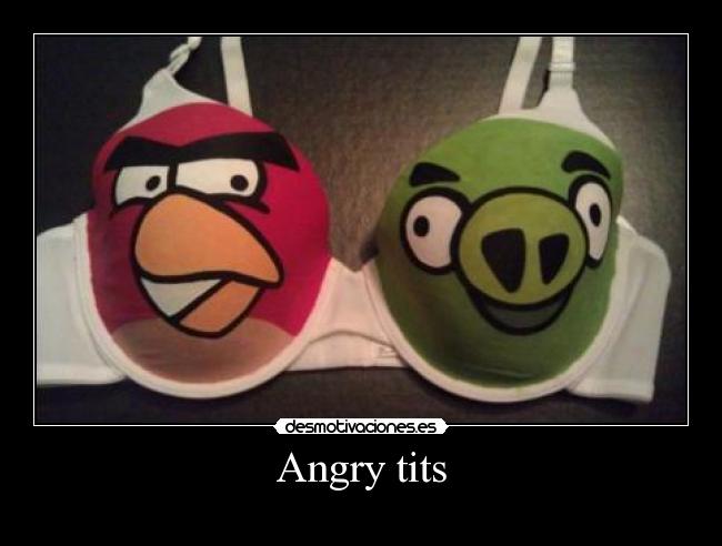 carteles angry tits tits angry dibujos sujetador animal pajaro rana animales pajarito ropa desmotivaciones