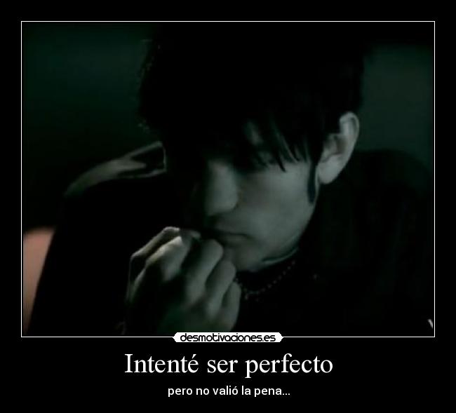 carteles intente ser perfecto desmotivaciones