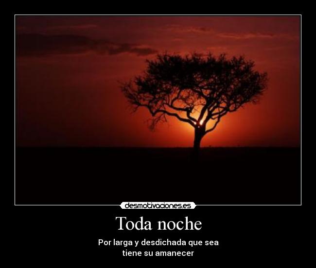Toda noche - 