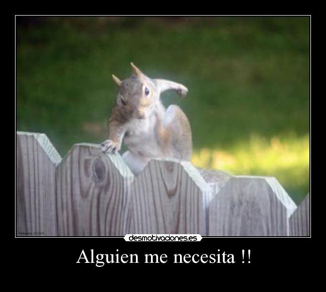 Alguien me necesita !! - 