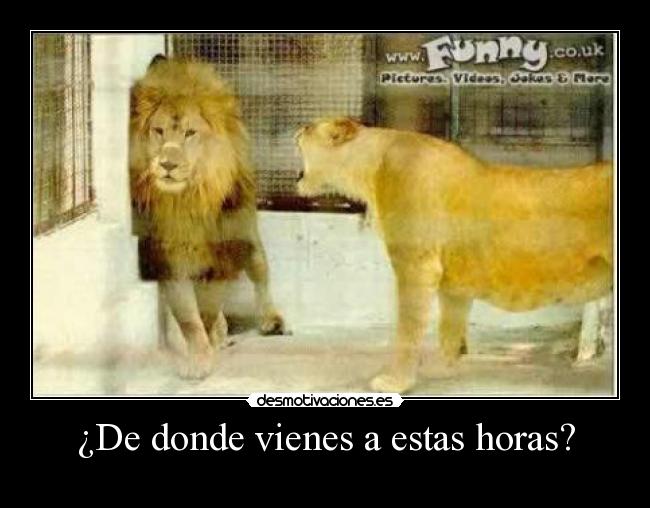 ¿De donde vienes a estas horas? - 