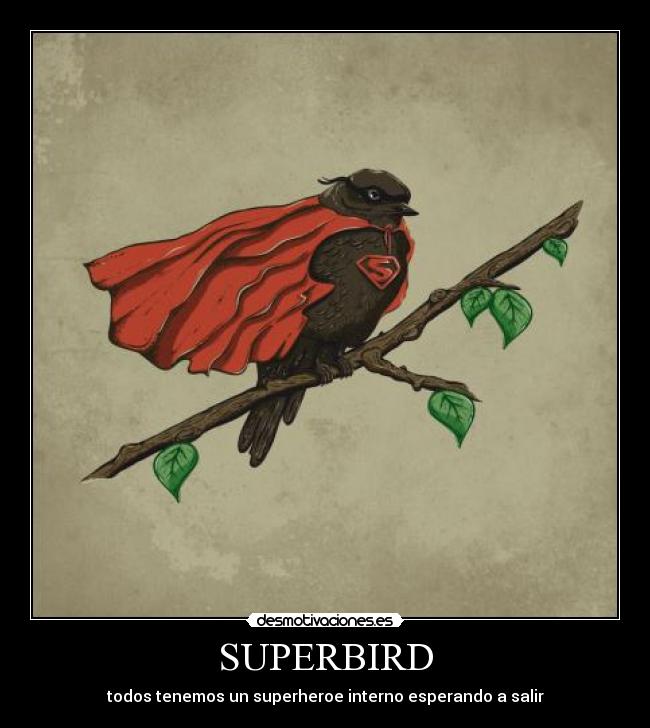 SUPERBIRD - todos tenemos un superheroe interno esperando a salir
