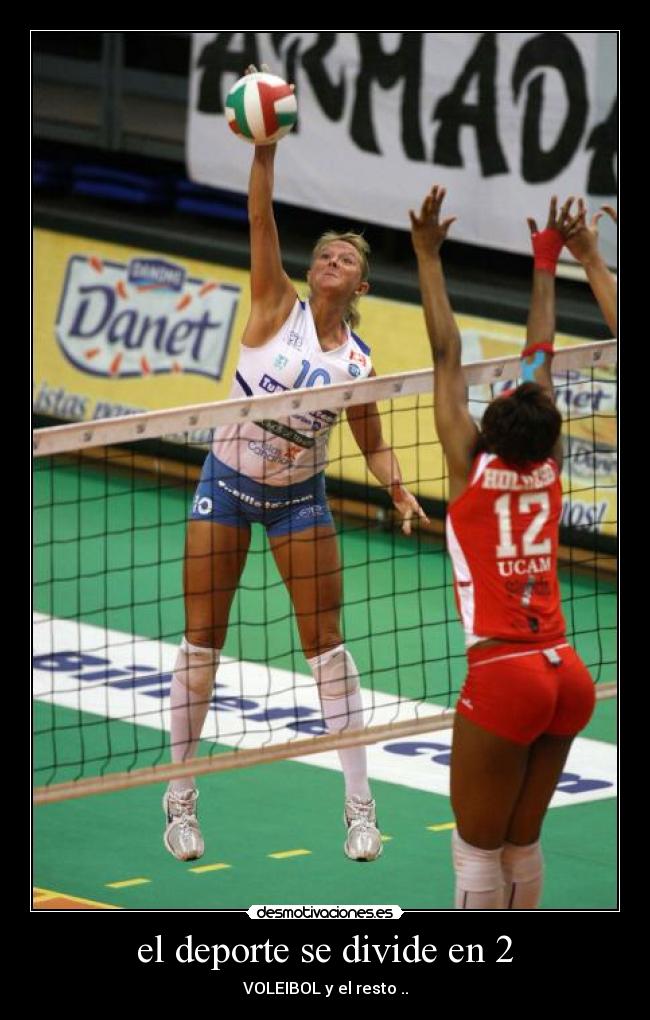 carteles silvia desmotivaciones