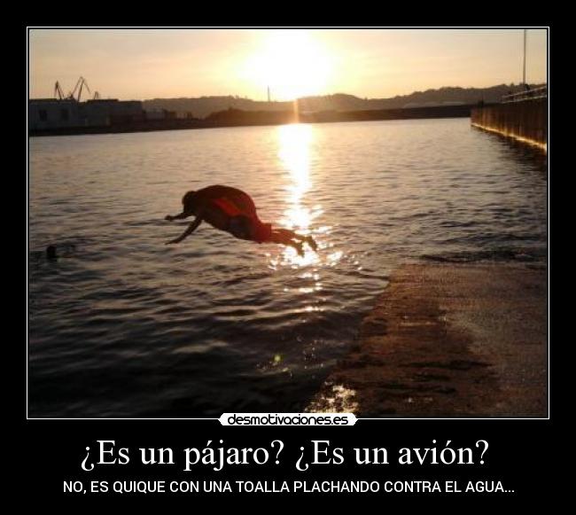 ¿Es un pájaro? ¿Es un avión? -