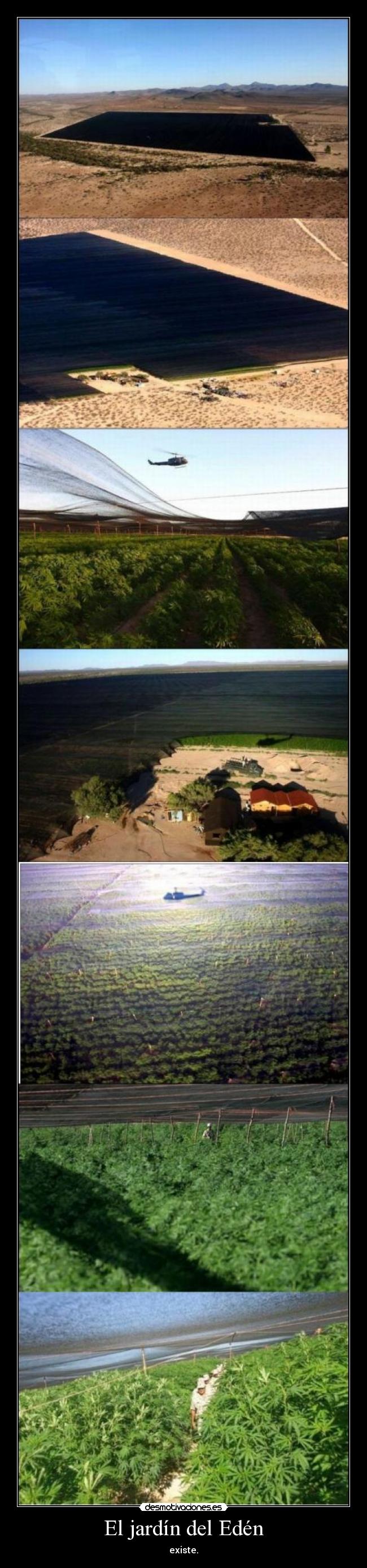 El jardín del Edén -
