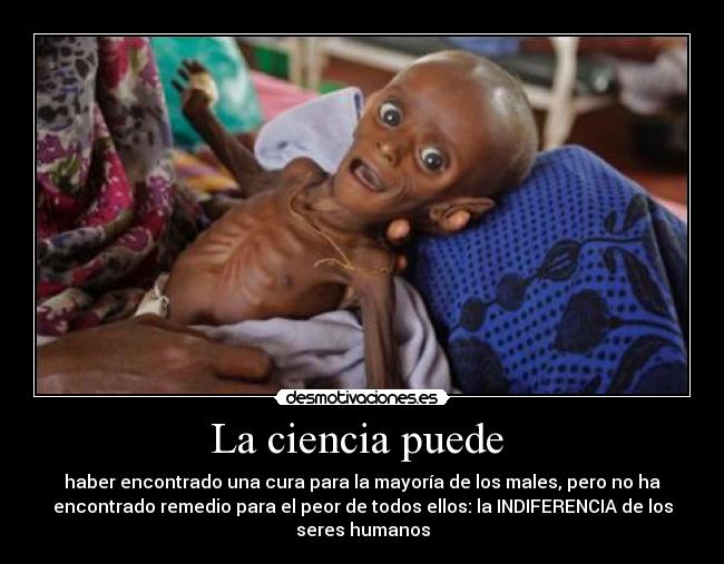 La ciencia puede - haber encontrado una cura para la mayoría de los males, pero no ha
encontrado remedio para el peor de todos ellos: la INDIFERENCIA de los
seres humanos