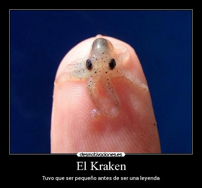 El Kraken - Tuvo que ser pequeño antes de ser una leyenda