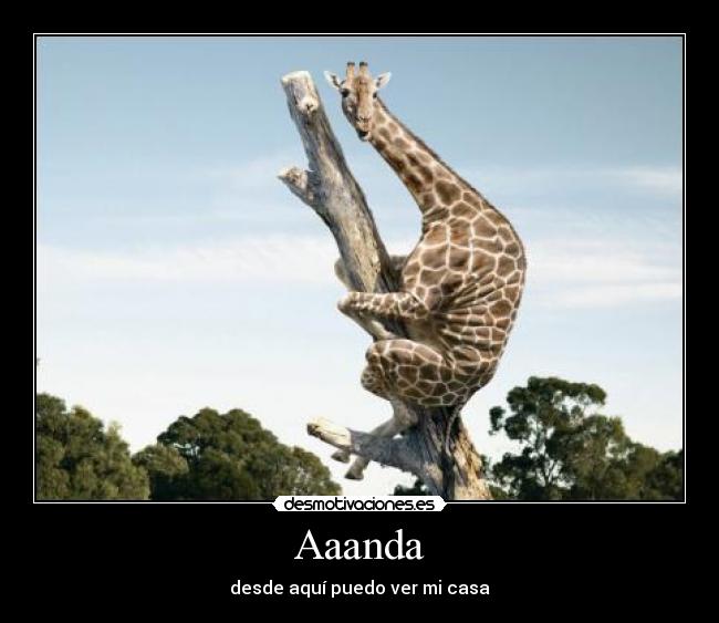 Aaanda - desde aquí puedo ver mi casa