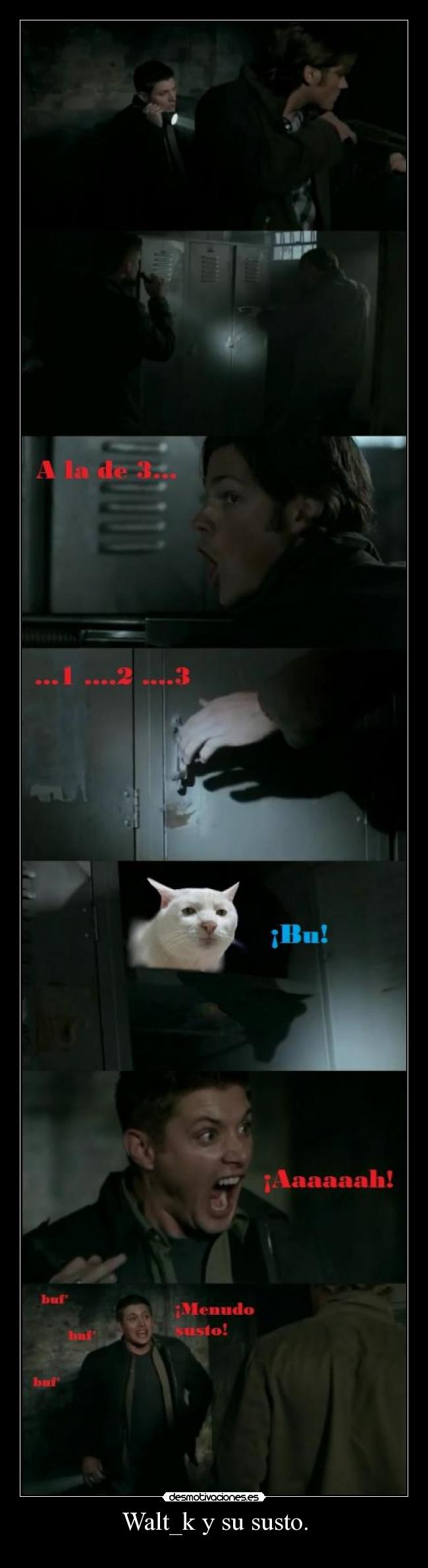 Walt_k y su susto. - 