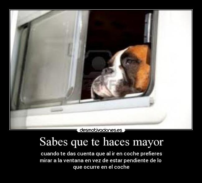 Sabes que te haces mayor - 