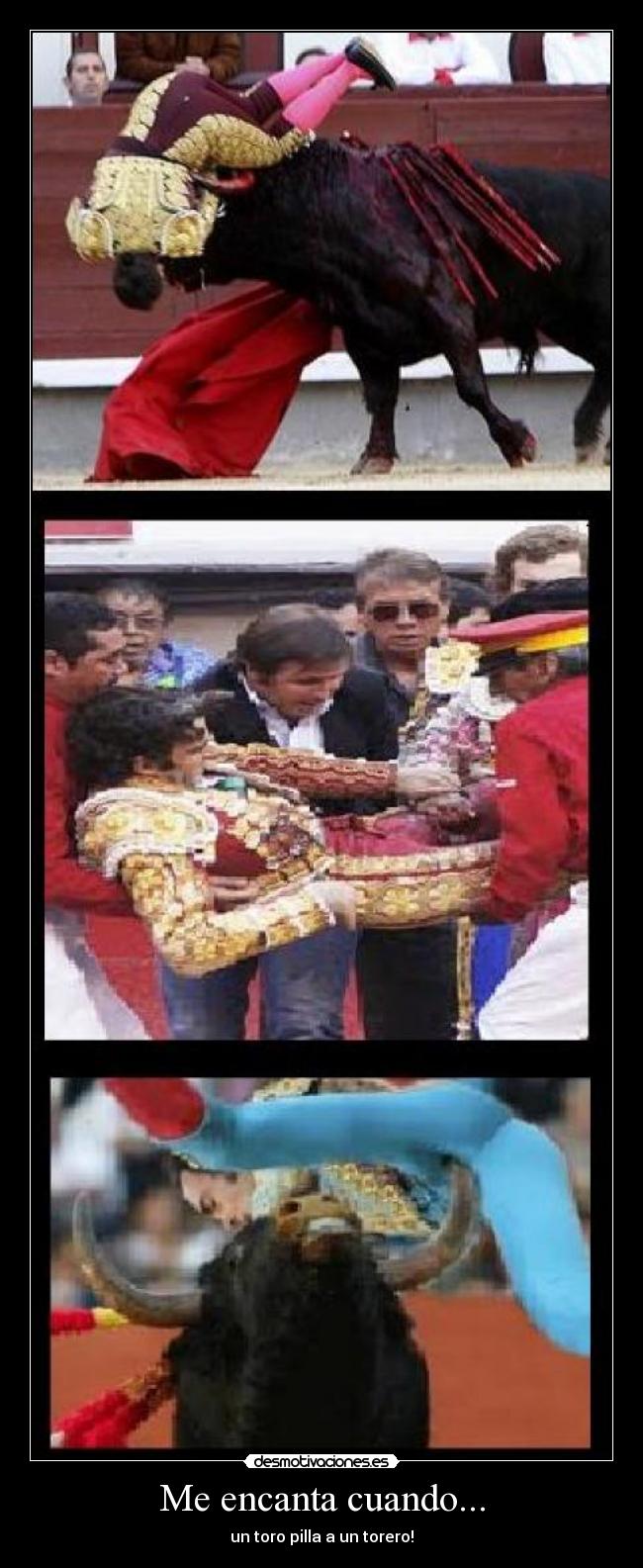 Me encanta cuando... - un toro pilla a un torero!