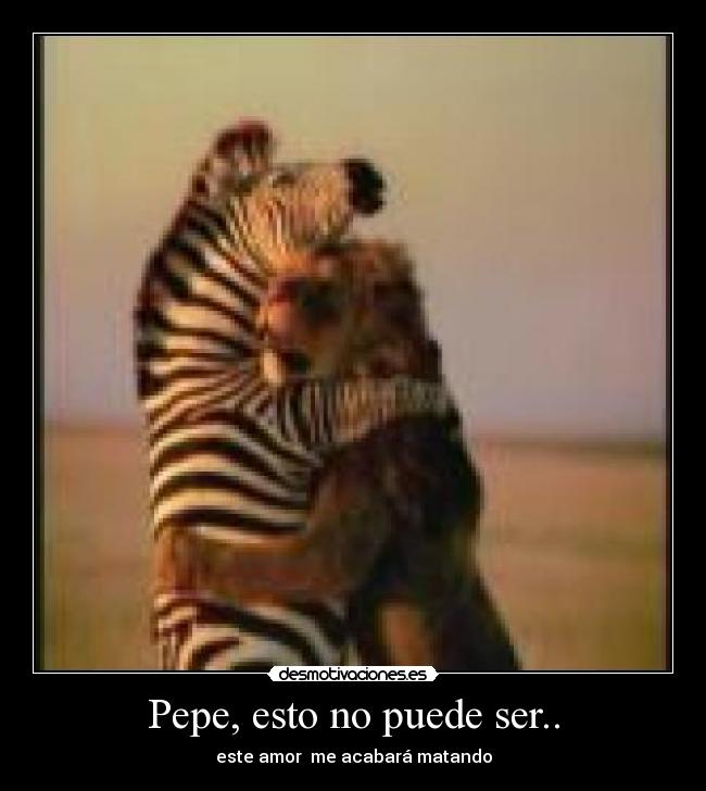 Pepe, esto no puede ser.. - este amor me acabará matando