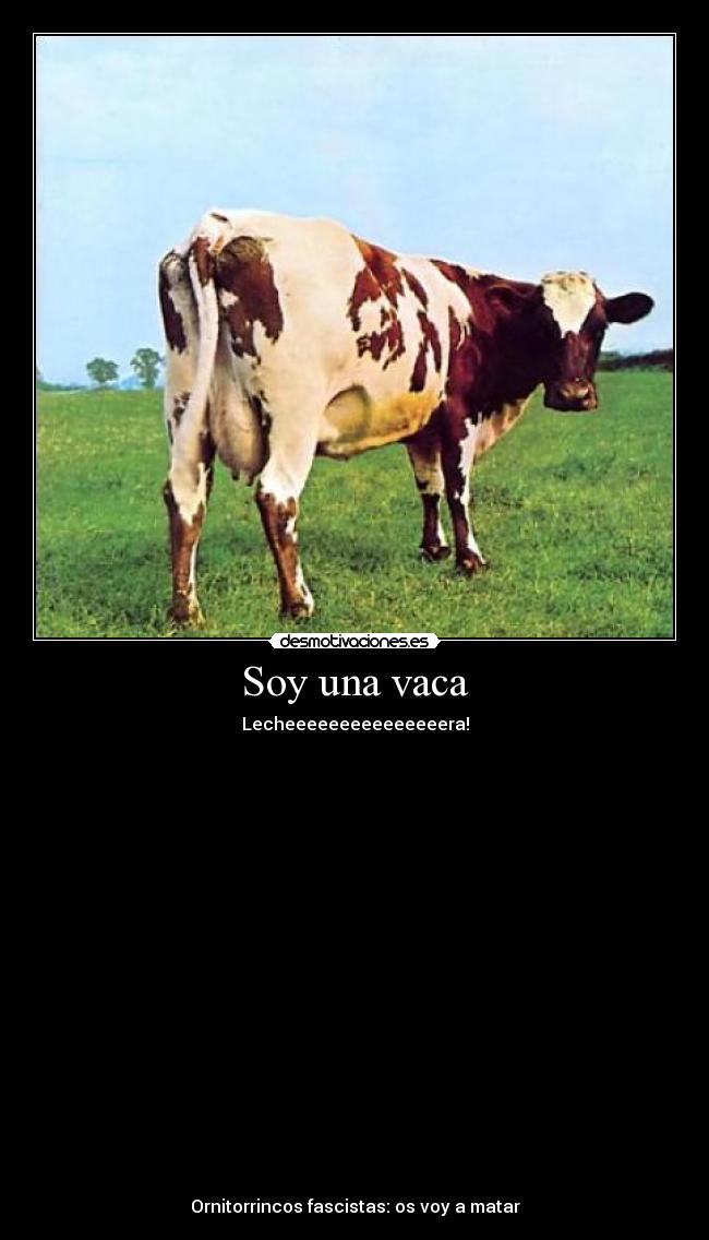 Soy una vaca -