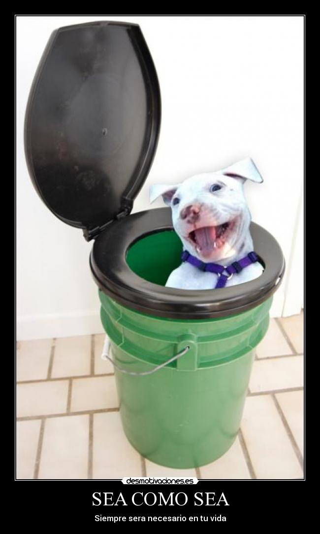 SEA COMO SEA - Siempre sera necesario en tu vida