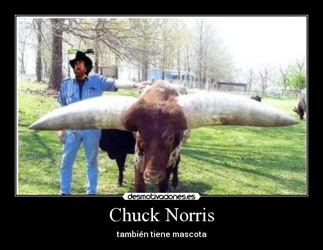 Chuck Norris - 